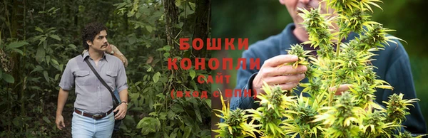 амфетамин Каменка