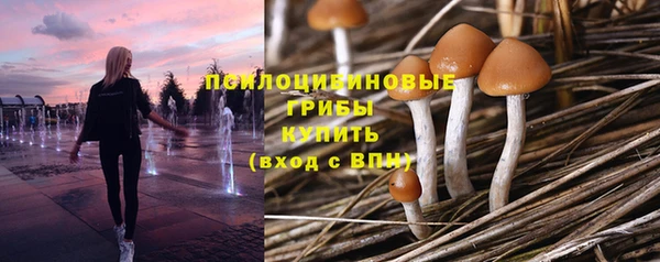 ALPHA PVP Инсар