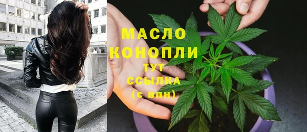 ALPHA PVP Инсар