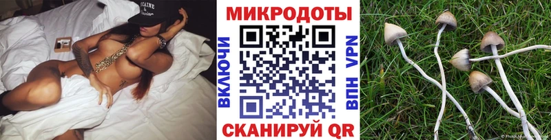 Купить закладки  Балашов  Псилоцибиновые грибы мицелий 